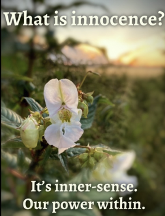 Innocence is our&nbsp;inner-sense