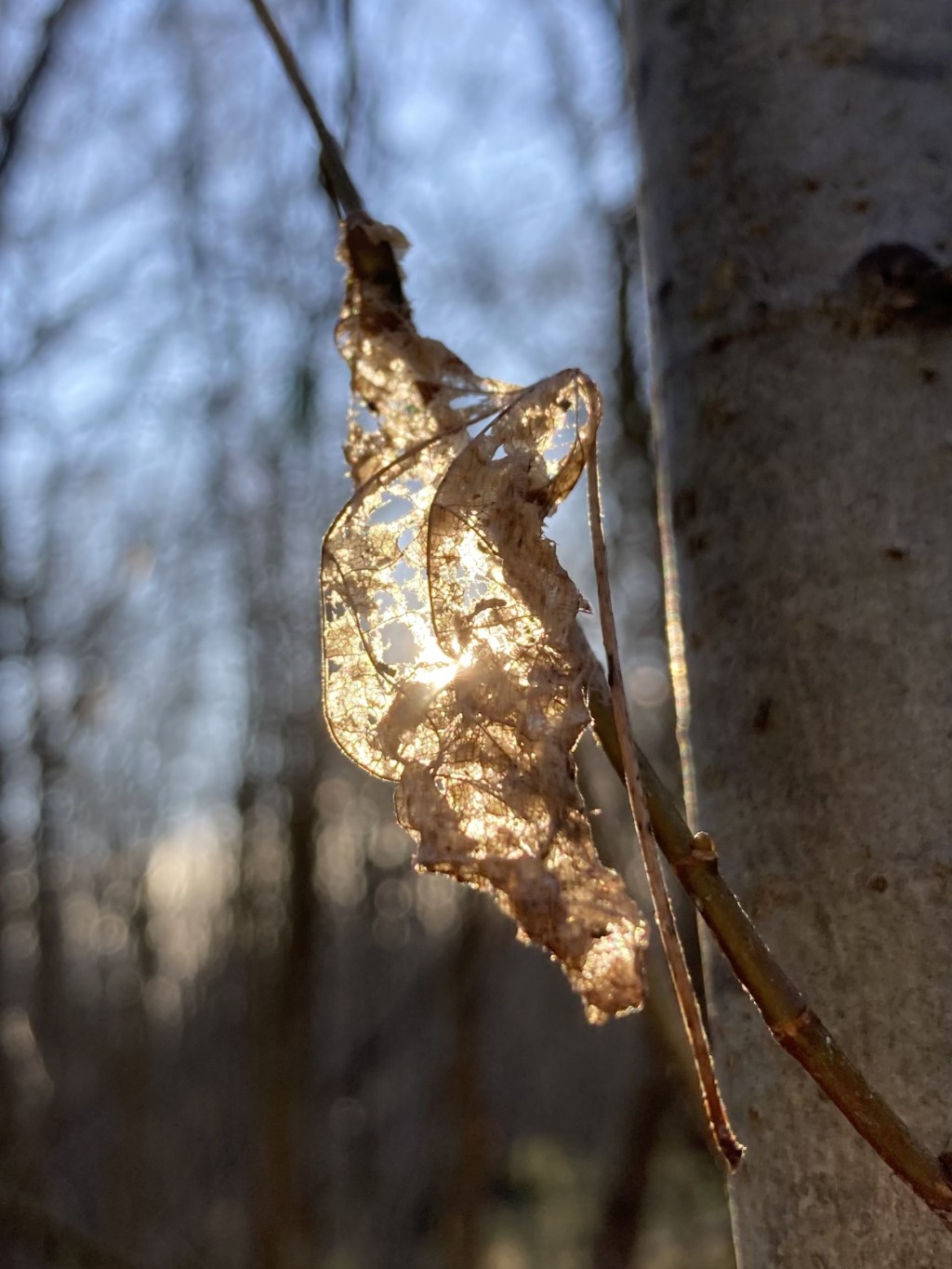 Keep Shining Beautiful&nbsp;Ones